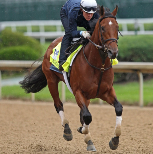 Kentucky Derby: Tom Brady joins the Kentucky Derby 'Hat War' - Foto 25 de  25