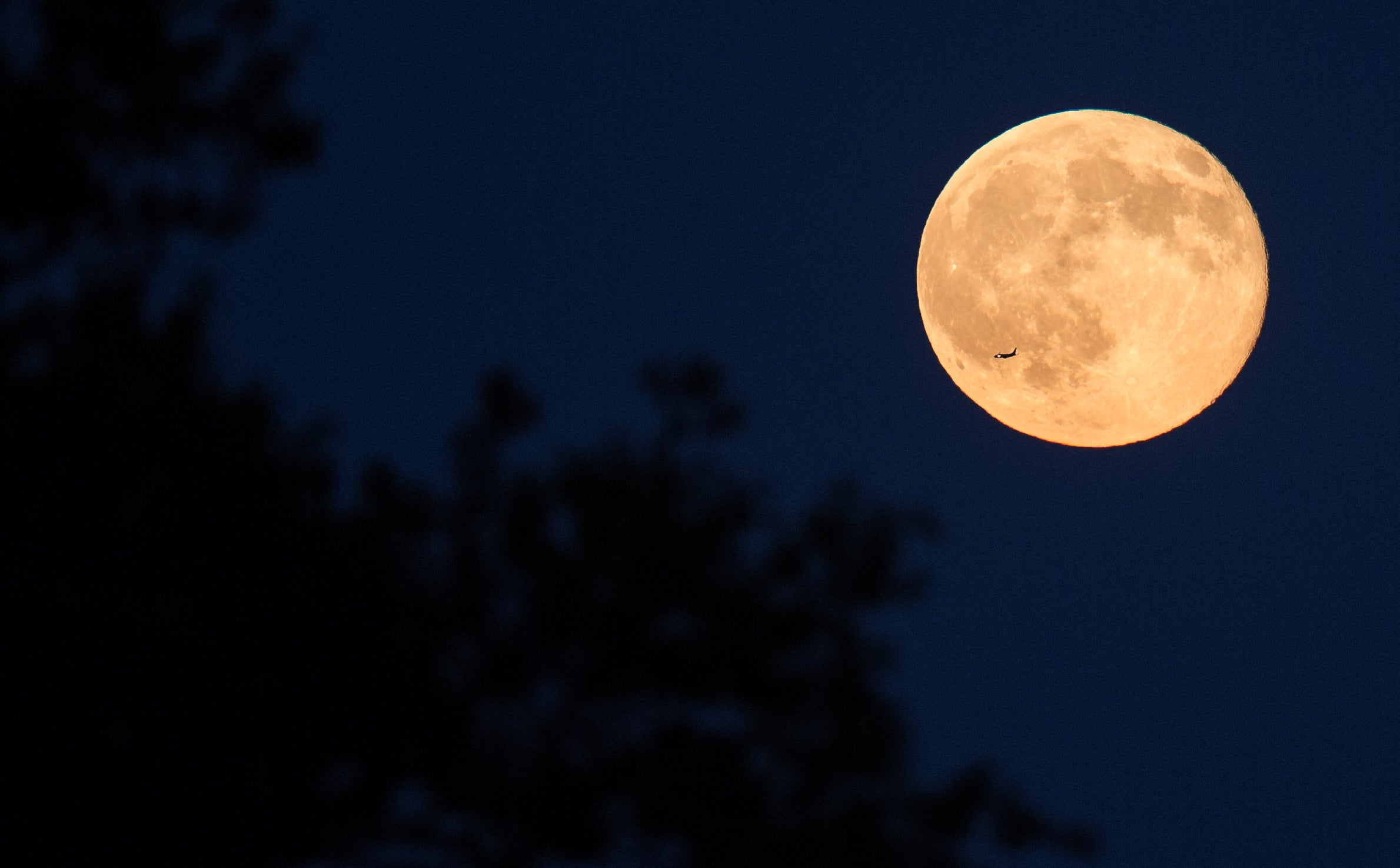 Super Blue Moon 2023 A celestial spectacle not to miss The Oxford
