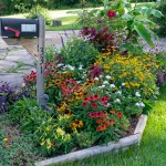 Various sizes and colors of flowers fill a mailbox landscape bed.