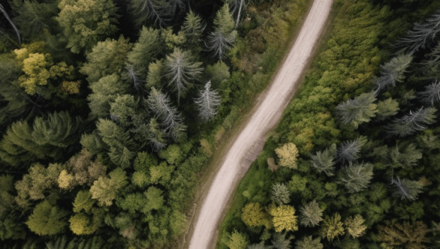Explore forest bathing's tranquility and benefits. Escape the urban hustle by immersing in nature, improving both mental and physical health.