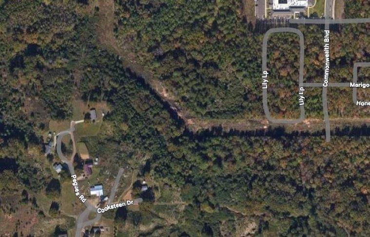 Public hearing on Pegues Road extension set
