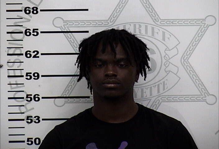 LCSO breaks up multi-county auto burglary ring