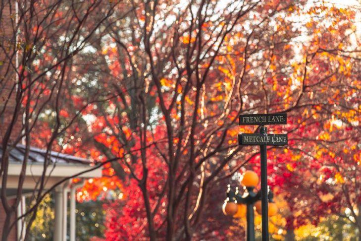 UM announces local students named to the fall Honor Roll lists