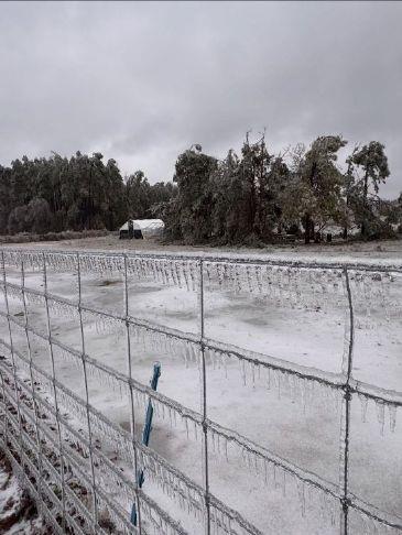 Community rallies behind Etta Hills Farm